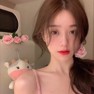 一条狗的回家路 在线观看